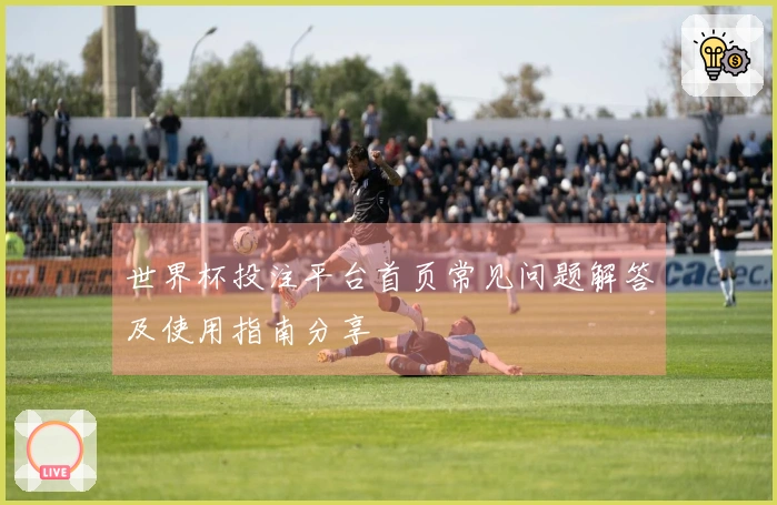 世界杯投注平台首页常见问题解答及使用指南分享