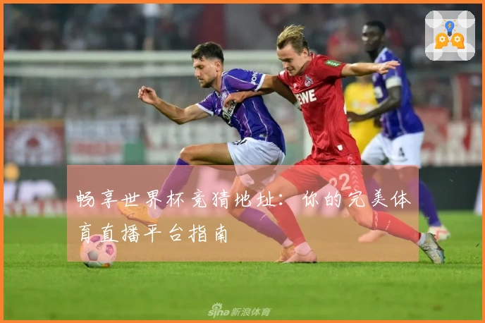 畅享世界杯竞猜地址：你的完美体育直播平台指南