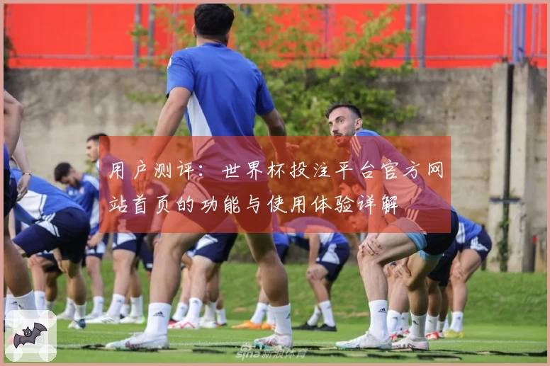 用户测评：世界杯投注平台官方网站首页的功能与使用体验详解