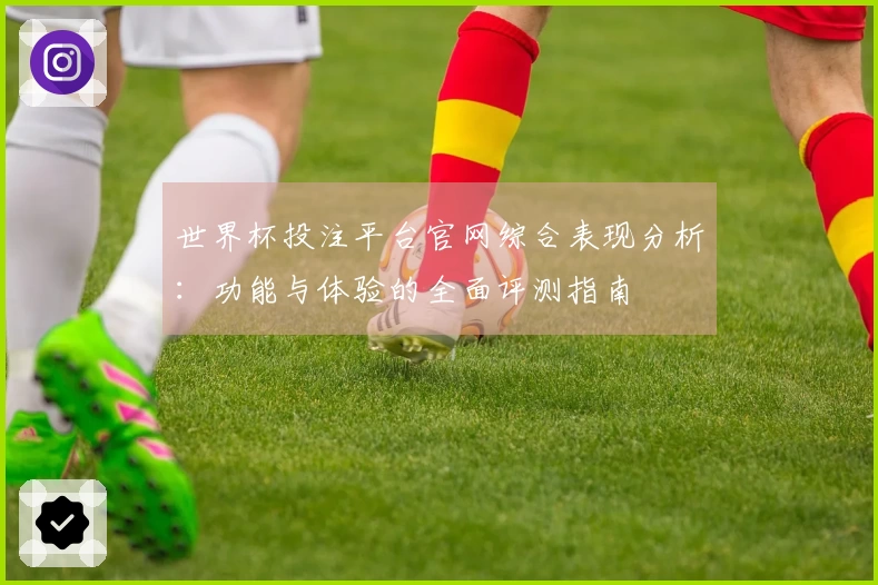 世界杯投注平台官网综合表现分析：功能与体验的全面评测指南