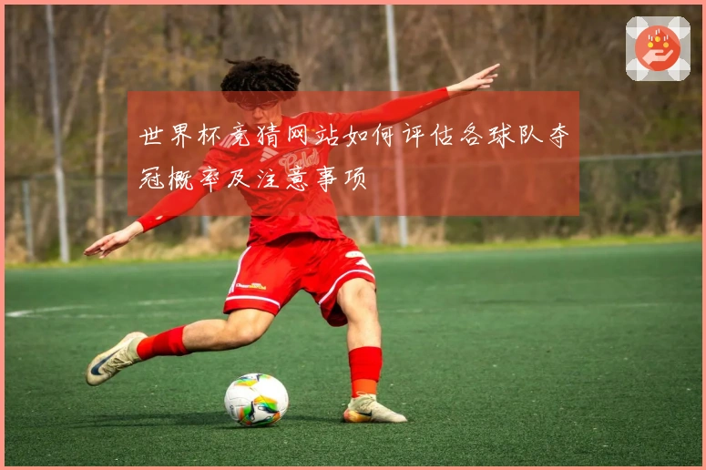 世界杯竞猜网站如何评估各球队夺冠概率及注意事项