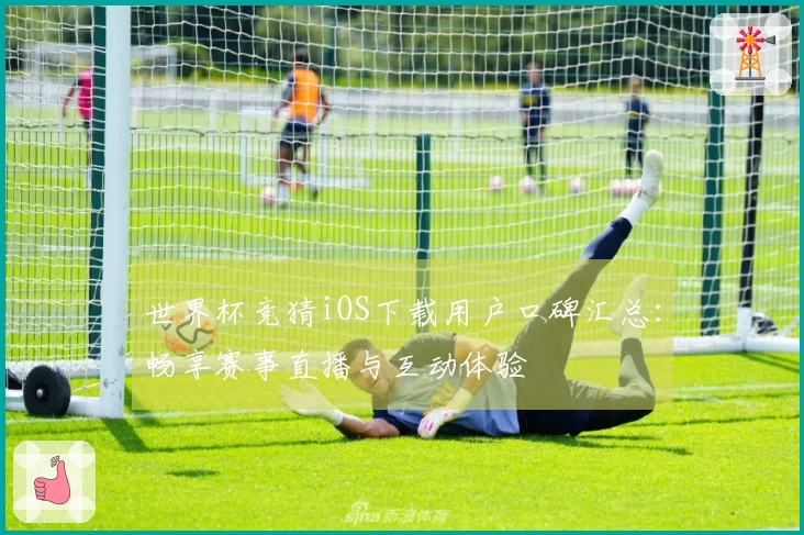 世界杯竞猜iOS下载用户口碑汇总：畅享赛事直播与互动体验