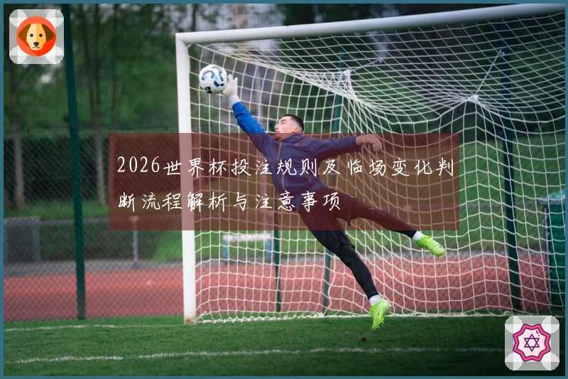 2026世界杯投注规则及临场变化判断流程解析与注意事项